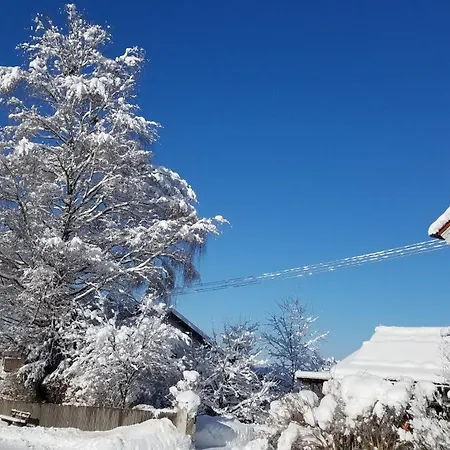 Gerold * 欧斯塔德